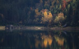 Spaziergang am Gosausee