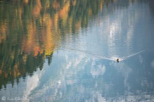 Spaziergang am Gosausee