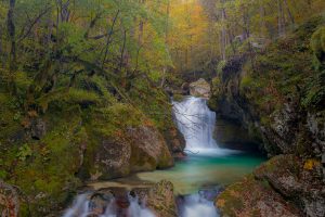 Lepenjica