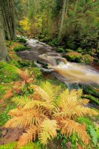 Höllfall im Waldviertel