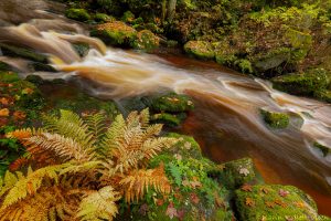 Höllfall im Waldviertel