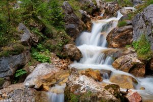 21_silberkarklamm_4248