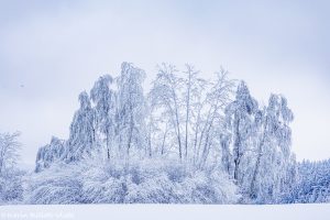 Winter im Waldviertel