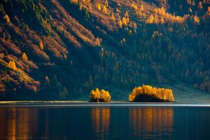 Abends am Silsersee