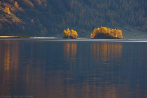 Abends am Silsersee