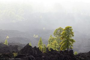 Mirador Teide