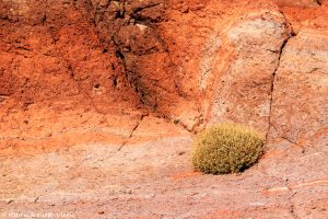 Teide