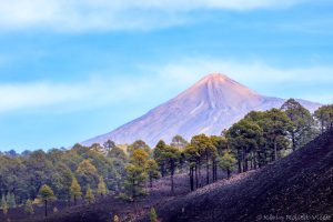 Teide