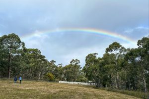 02_peter_murrell_5206