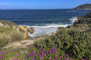 11_Goat Bluff Lookout-5313