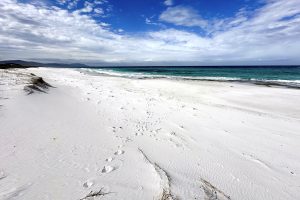 17_friendly_beaches-5396