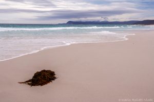 18_friendly_beaches_5328