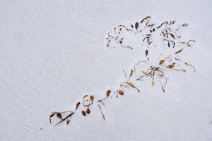 20_friendly_beaches-625332