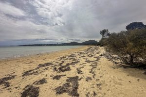 21_friendly_beaches-5383