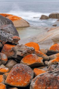 27_bayoffires_5430