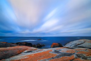 28_bayoffires_5473