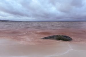 31_Binalong Bay_5466