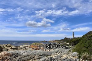 33_eddystonepoint-5491