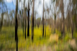 34_eddystonepoint_6026