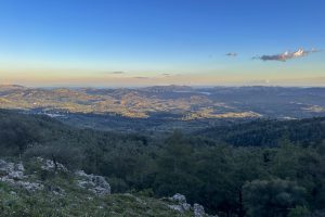 Profiti ilias
