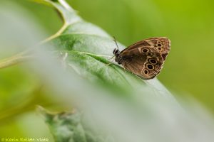 a_achine_266126